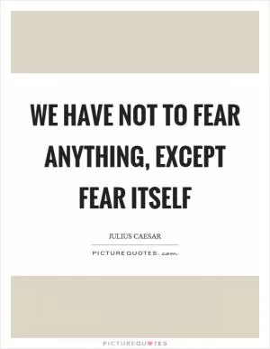 We have not to fear anything, except fear itself Picture Quote #1