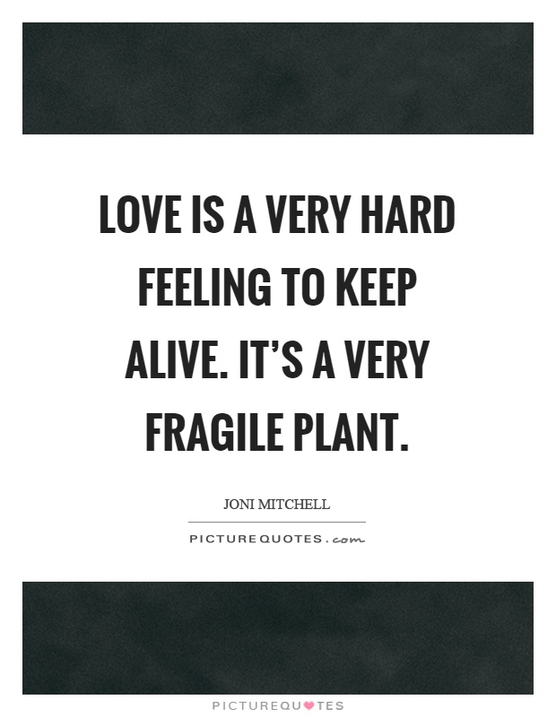 Love is a very hard feeling to keep alive. It's a very fragile plant Picture Quote #1