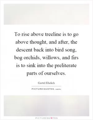 To rise above treeline is to go above thought, and after, the descent back into bird song, bog orchids, willows, and firs is to sink into the preliterate parts of ourselves Picture Quote #1