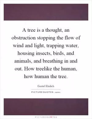 A tree is a thought, an obstruction stopping the flow of wind and light, trapping water, housing insects, birds, and animals, and breathing in and out. How treelike the human, how human the tree Picture Quote #1