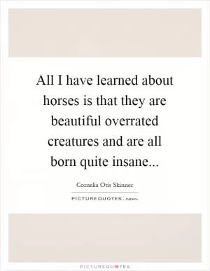 All I have learned about horses is that they are beautiful overrated creatures and are all born quite insane Picture Quote #1