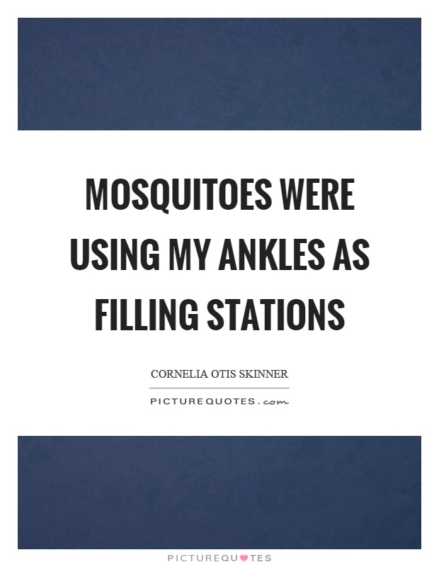 Mosquitoes were using my ankles as filling stations Picture Quote #1
