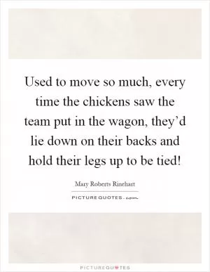 Used to move so much, every time the chickens saw the team put in the wagon, they’d lie down on their backs and hold their legs up to be tied! Picture Quote #1