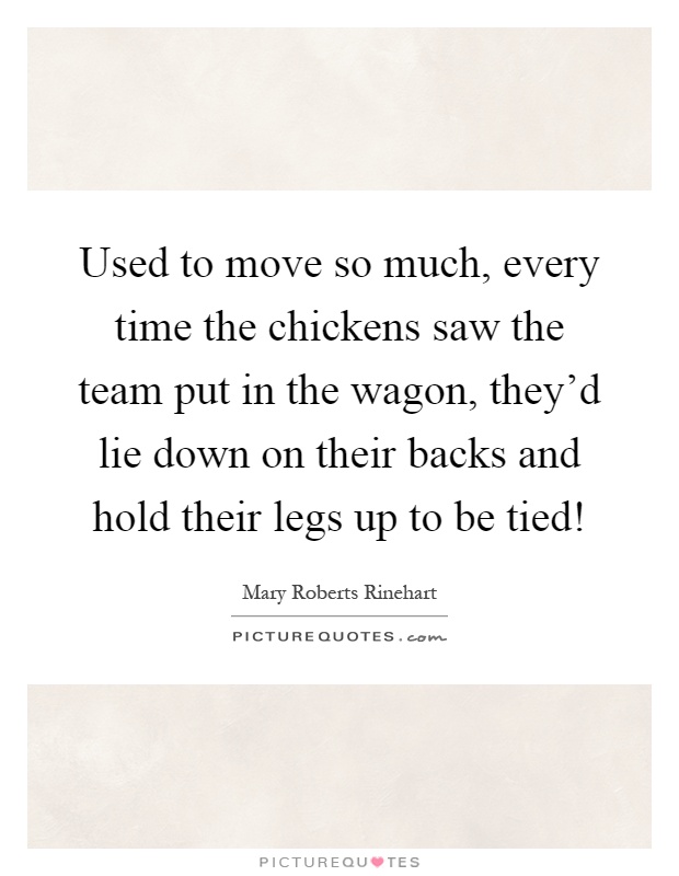 Used to move so much, every time the chickens saw the team put in the wagon, they'd lie down on their backs and hold their legs up to be tied! Picture Quote #1