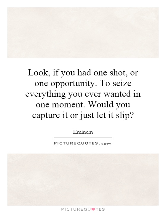Look, if you had one shot, or one opportunity. To seize everything you ever wanted in one moment. Would you capture it or just let it slip? Picture Quote #1