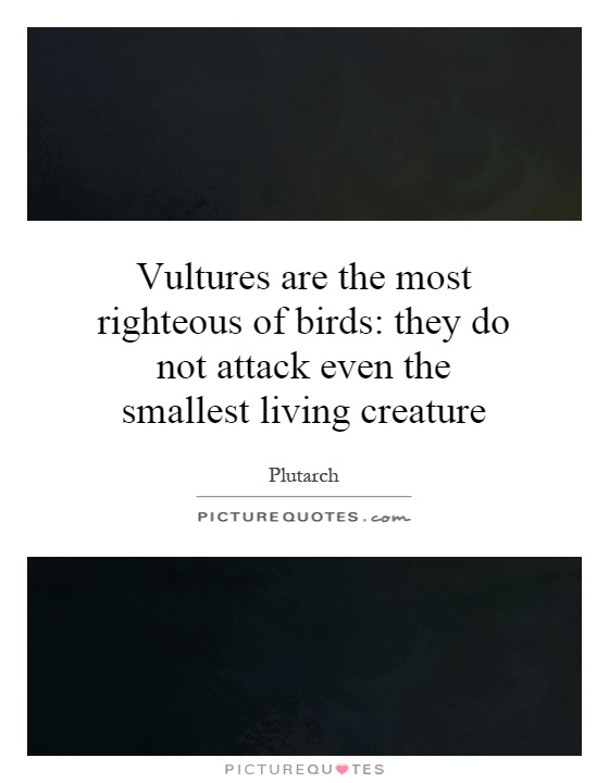Vultures are the most righteous of birds: they do not attack even the smallest living creature Picture Quote #1