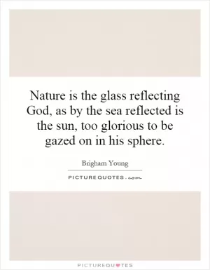 Nature is the glass reflecting God, as by the sea reflected is the sun, too glorious to be gazed on in his sphere Picture Quote #1