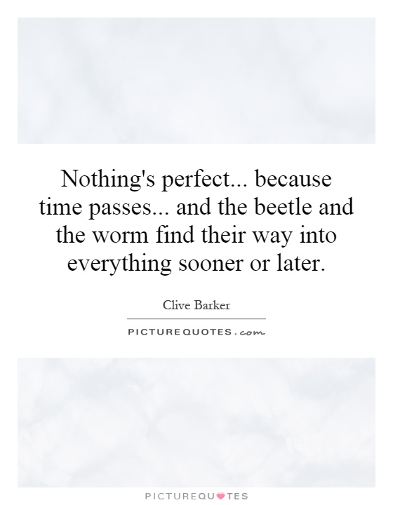Nothing's perfect... because time passes... and the beetle and the worm find their way into everything sooner or later Picture Quote #1