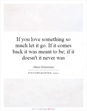 If you love something so much let it go. If it comes back it was meant to be; if it doesn't it never was Picture Quote #1