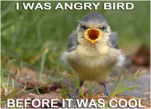 I was angry bird before it was cool Picture Quote #1