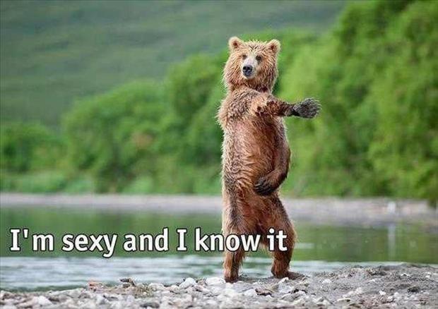 I'm sexy and I know it Picture Quote #2