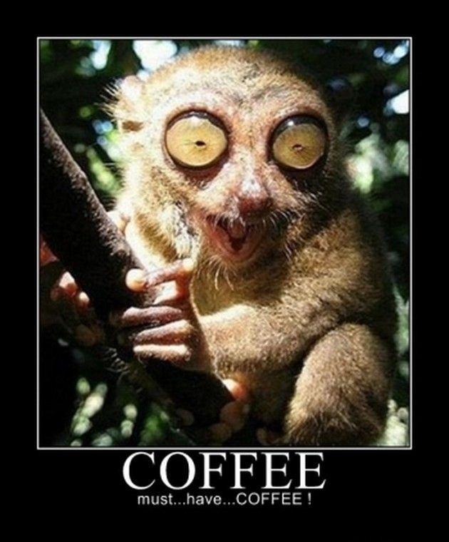 Coffee - must.. have...  COFFEE!!! Picture Quote #1