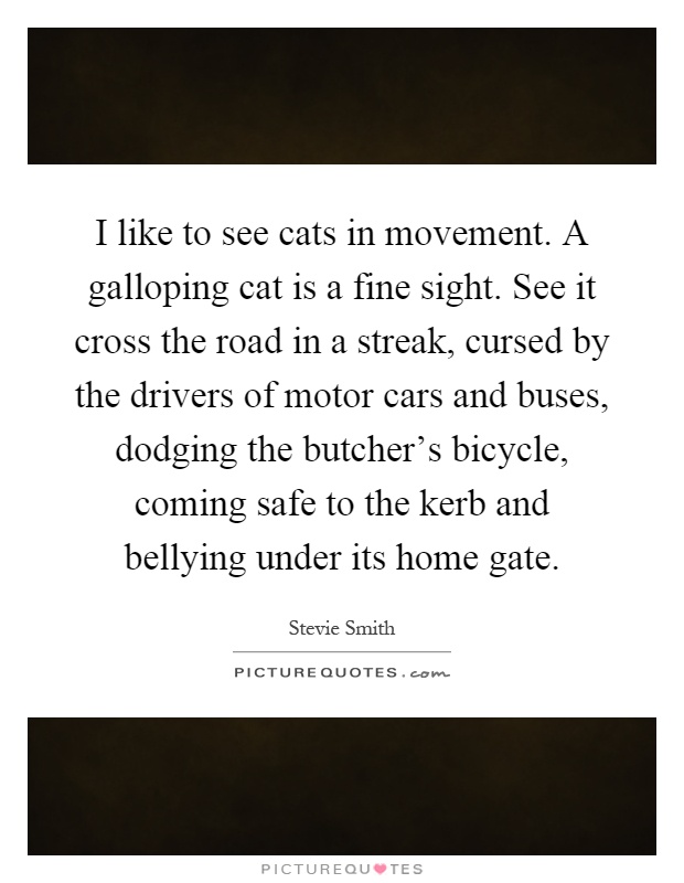 I like to see cats in movement. A galloping cat is a fine sight. See it cross the road in a streak, cursed by the drivers of motor cars and buses, dodging the butcher's bicycle, coming safe to the kerb and bellying under its home gate Picture Quote #1