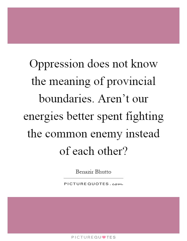 Oppression does not know the meaning of provincial boundaries. Aren't our energies better spent fighting the common enemy instead of each other? Picture Quote #1