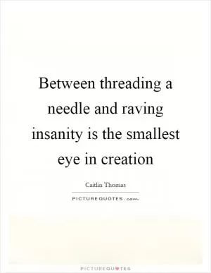 Between threading a needle and raving insanity is the smallest eye in creation Picture Quote #1