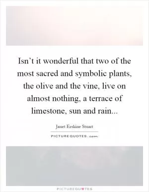 Isn’t it wonderful that two of the most sacred and symbolic plants, the olive and the vine, live on almost nothing, a terrace of limestone, sun and rain Picture Quote #1
