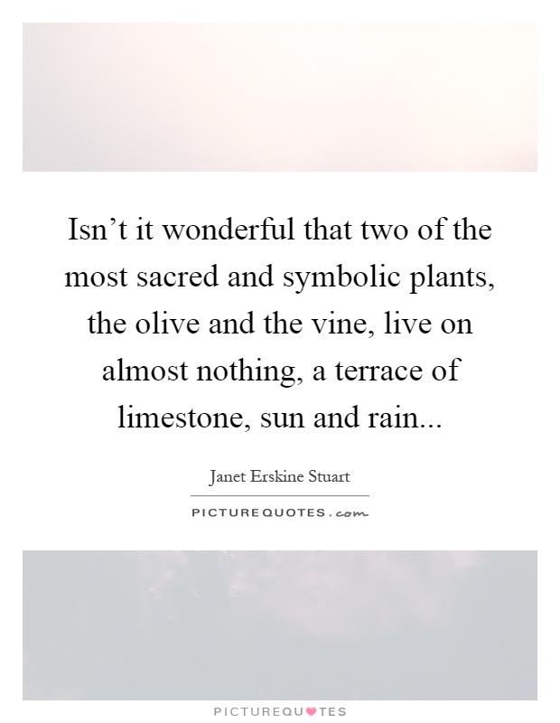 Isn't it wonderful that two of the most sacred and symbolic plants, the olive and the vine, live on almost nothing, a terrace of limestone, sun and rain Picture Quote #1