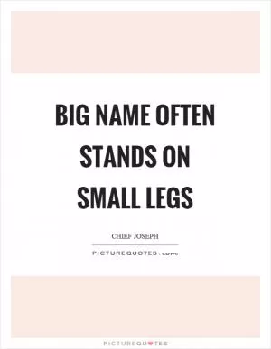 Big name often stands on small legs Picture Quote #1