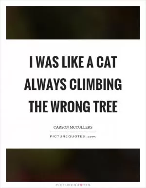 I was like a cat always climbing the wrong tree Picture Quote #1