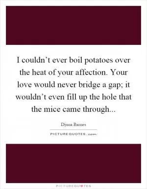 I couldn’t ever boil potatoes over the heat of your affection. Your love would never bridge a gap; it wouldn’t even fill up the hole that the mice came through Picture Quote #1