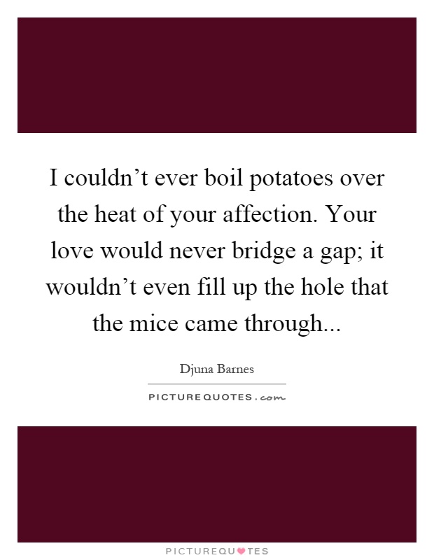I couldn't ever boil potatoes over the heat of your affection. Your love would never bridge a gap; it wouldn't even fill up the hole that the mice came through Picture Quote #1