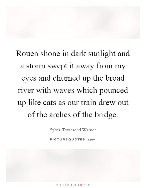 Rouen shone in dark sunlight and a storm swept it away from my eyes and churned up the broad river with waves which pounced up like cats as our train drew out of the arches of the bridge Picture Quote #1