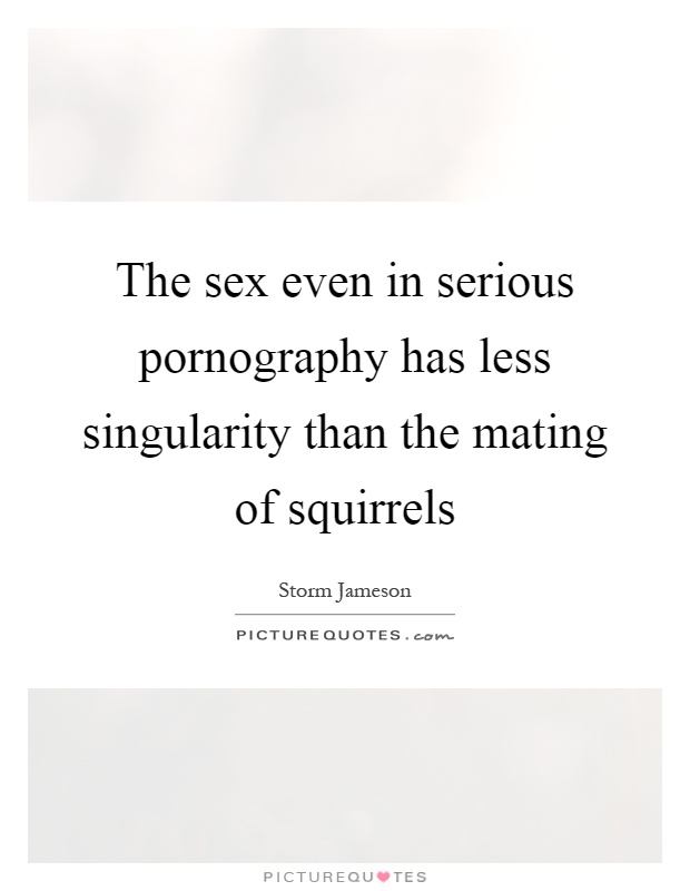 The sex even in serious pornography has less singularity than the mating of squirrels Picture Quote #1