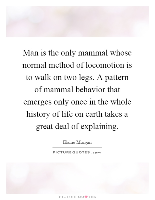 Man is the only mammal whose normal method of locomotion is to walk on two legs. A pattern of mammal behavior that emerges only once in the whole history of life on earth takes a great deal of explaining Picture Quote #1