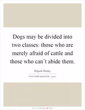 Dogs may be divided into two classes: those who are merely afraid of cattle and those who can’t abide them Picture Quote #1