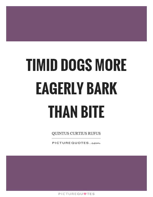 Timid dogs more eagerly bark than bite Picture Quote #1