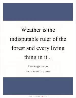 Weather is the indisputable ruler of the forest and every living thing in it Picture Quote #1