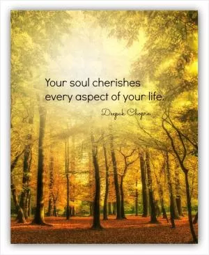 Your soul cherishes every aspect of your life Picture Quote #1