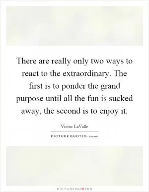 There are really only two ways to react to the extraordinary. The first is to ponder the grand purpose until all the fun is sucked away, the second is to enjoy it Picture Quote #1