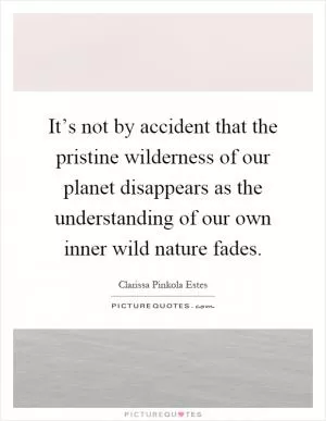 It’s not by accident that the pristine wilderness of our planet disappears as the understanding of our own inner wild nature fades Picture Quote #1