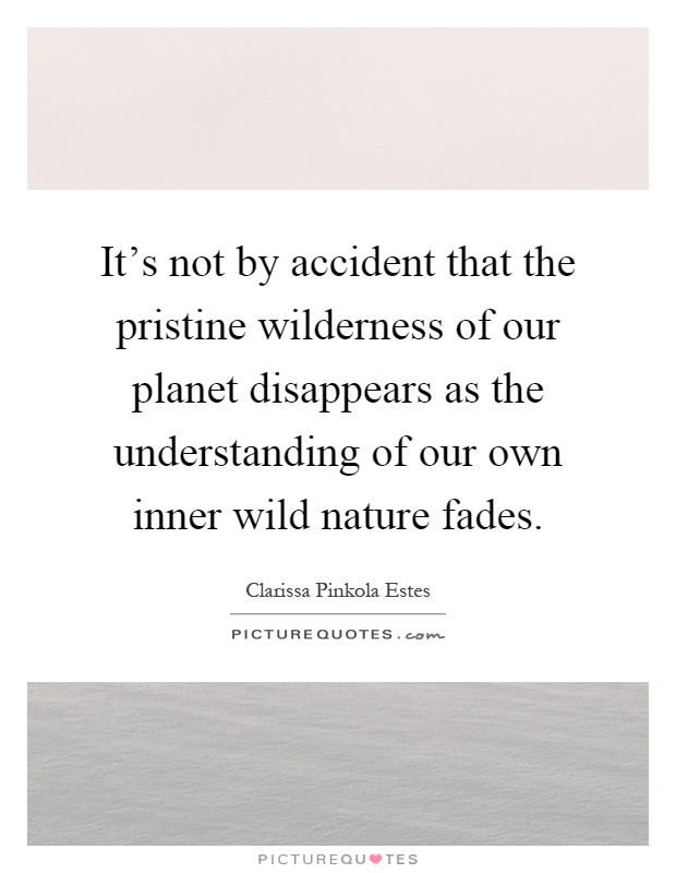 It's not by accident that the pristine wilderness of our planet disappears as the understanding of our own inner wild nature fades Picture Quote #1