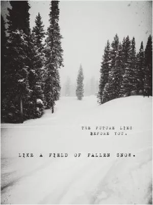 The future lies before you, life a field of fallen snow Picture Quote #1
