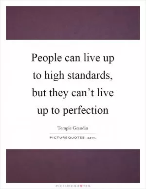 People can live up to high standards, but they can’t live up to perfection Picture Quote #1