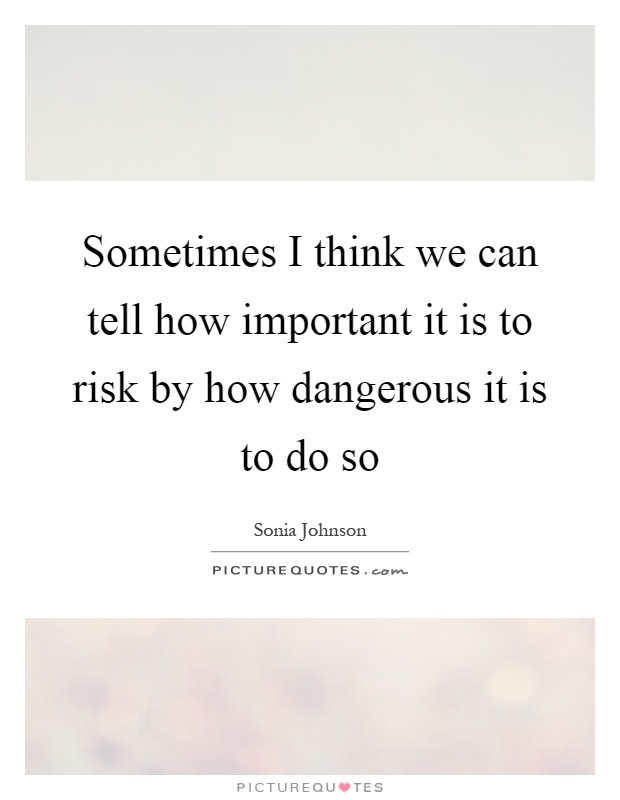 Sometimes I think we can tell how important it is to risk by how dangerous it is to do so Picture Quote #1