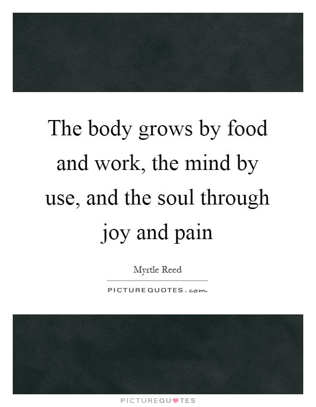 The body grows by food and work, the mind by use, and the soul through joy and pain Picture Quote #1