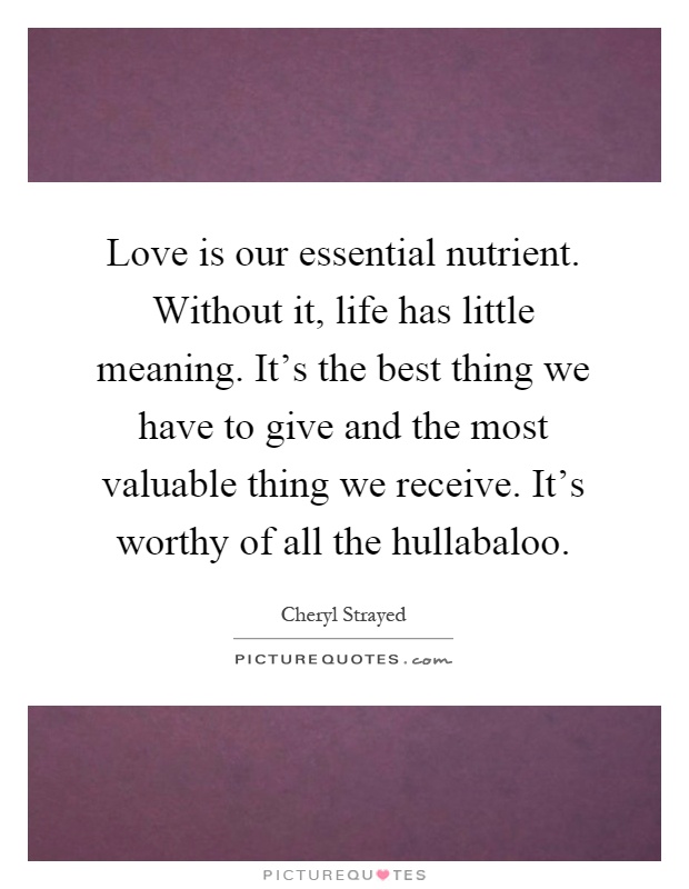 Love is our essential nutrient. Without it, life has little meaning. It's the best thing we have to give and the most valuable thing we receive. It's worthy of all the hullabaloo Picture Quote #1