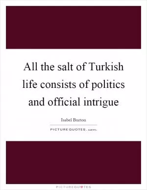 All the salt of Turkish life consists of politics and official intrigue Picture Quote #1