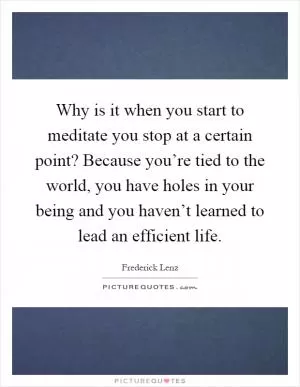 Why is it when you start to meditate you stop at a certain point? Because you’re tied to the world, you have holes in your being and you haven’t learned to lead an efficient life Picture Quote #1