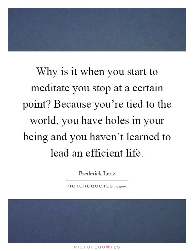 Why is it when you start to meditate you stop at a certain point? Because you're tied to the world, you have holes in your being and you haven't learned to lead an efficient life Picture Quote #1