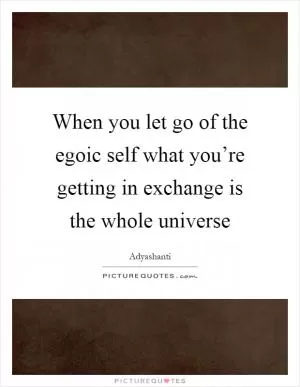 When you let go of the egoic self what you’re getting in exchange is the whole universe Picture Quote #1