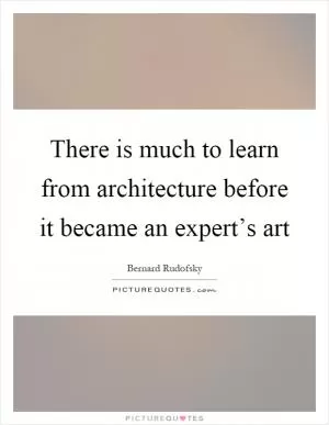 There is much to learn from architecture before it became an expert’s art Picture Quote #1
