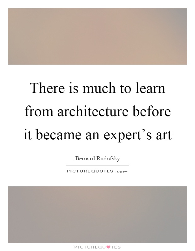 There is much to learn from architecture before it became an expert's art Picture Quote #1