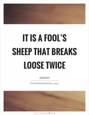 It is a fool’s sheep that breaks loose twice Picture Quote #1