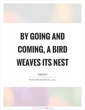 By going and coming, a bird weaves its nest Picture Quote #1
