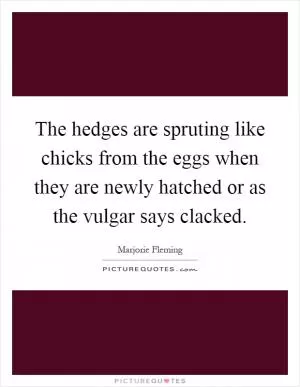 The hedges are spruting like chicks from the eggs when they are newly hatched or as the vulgar says clacked Picture Quote #1