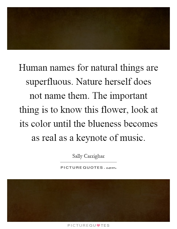 Human names for natural things are superfluous. Nature herself does not name them. The important thing is to know this flower, look at its color until the blueness becomes as real as a keynote of music Picture Quote #1